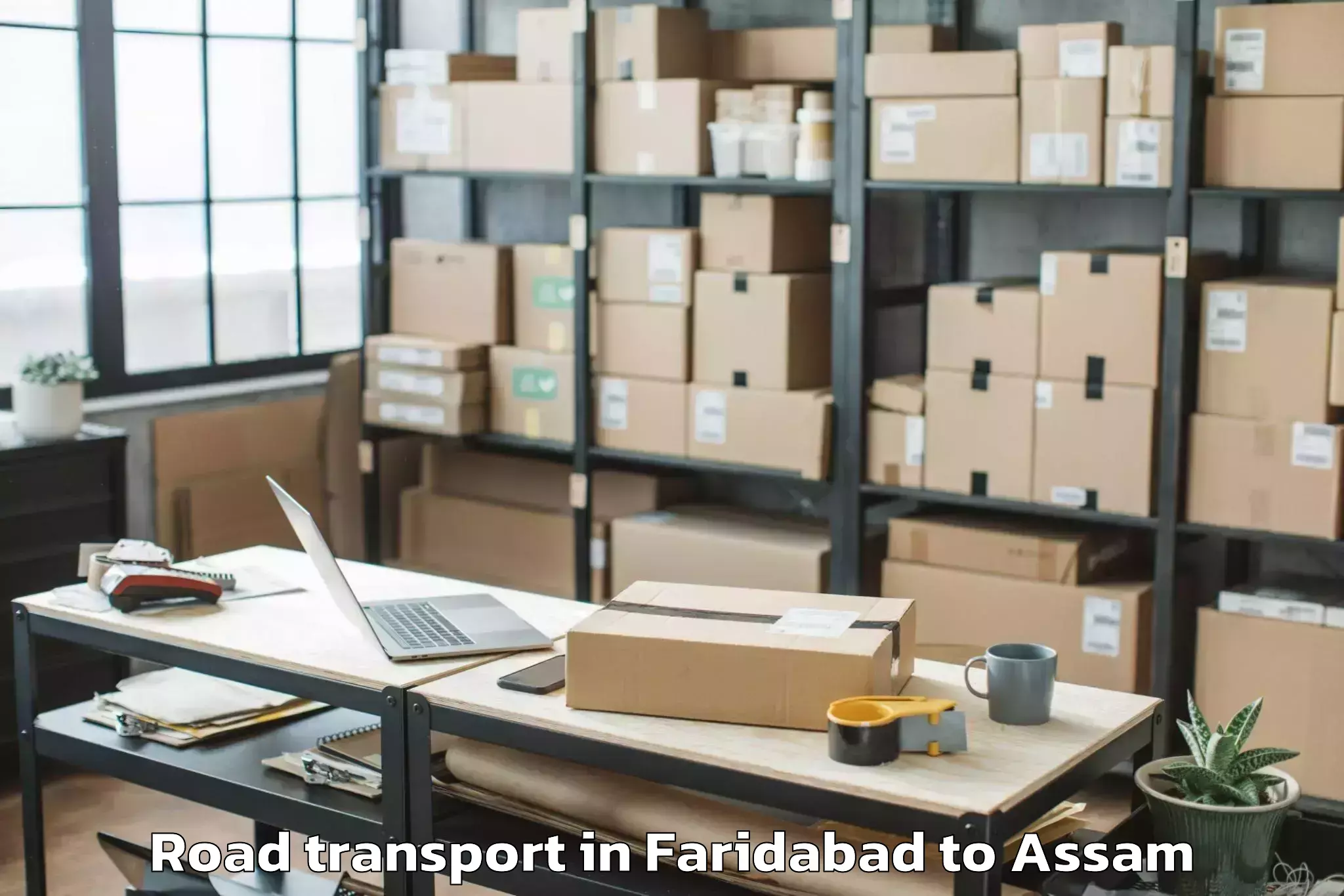 Leading Faridabad to Jorhat East Road Transport Provider